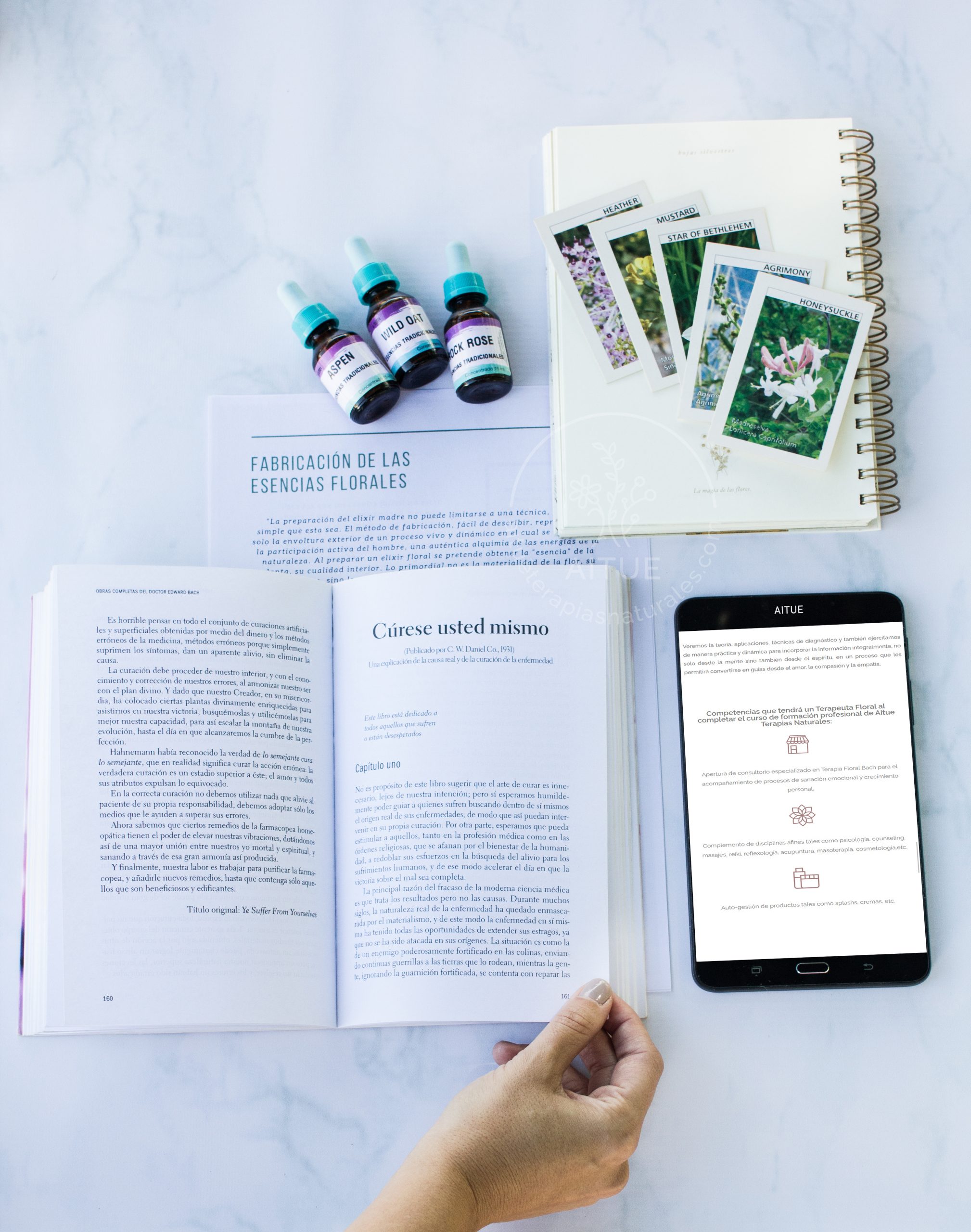 aitue terapias naturales. Todos los derechos registrados